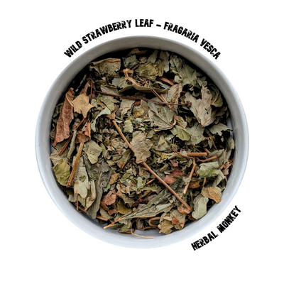 Finely cut dried Wild Strawberry Leaf — soft green botanical suitable for tea, ritual craft, and traditional use
