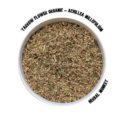 Organic Yarrow dried flowers – premium botanical suitable for herbal tea