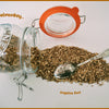 Angelica Herb