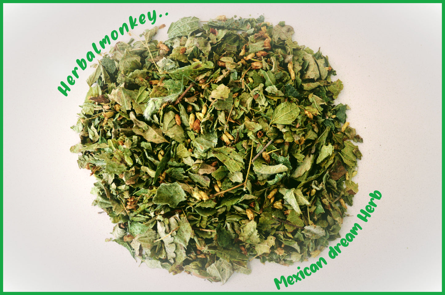 Mexican dream herb