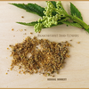 meadowsweet
