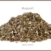 Mugwort