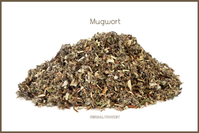 Mugwort