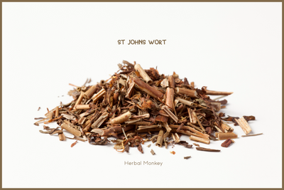 Dried St John’s Wort leaves and flowering tops — suitable for tea preparation and traditional use