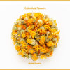 Calendula