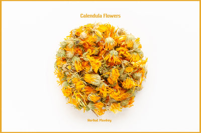 Calendula
