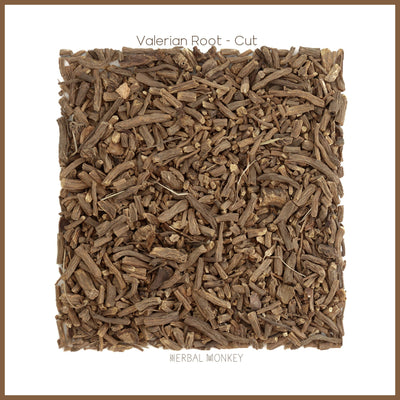 Organic dried Valerian Cut Root — earthy, woody herbal root suitable for human consumption and tea preparation