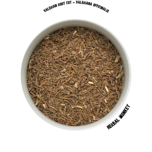 Valerian Root Cut | Valeriana Officinalis