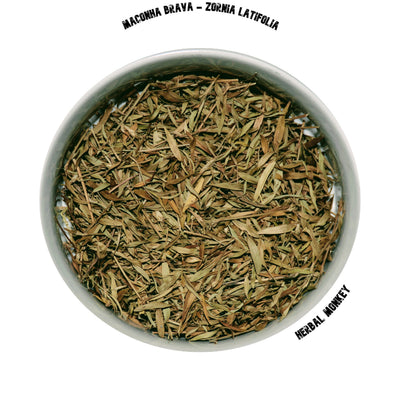 South American sacred herb – Maconha Brava for dreamwork and meditative practice
