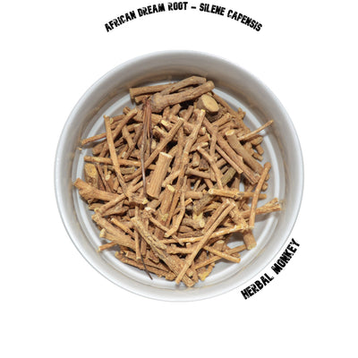 Whole African Dream Root – Silene capensis for ceremonial and spiritual use