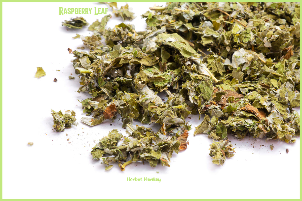 Rubus Tea Organic Raspberry Leaf Tea - High-Quality Rubus idaeus from Poland