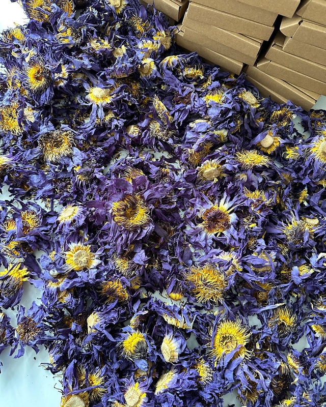 Customer photo of Blue lotus flowers